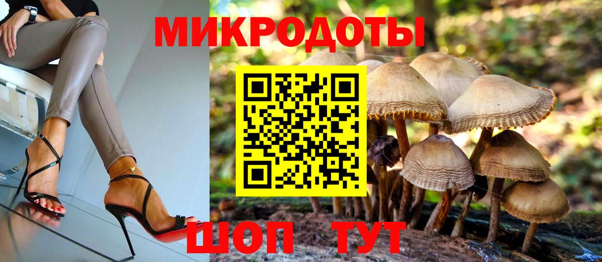 Галлюциногенные грибы прущие грибы Отрадный