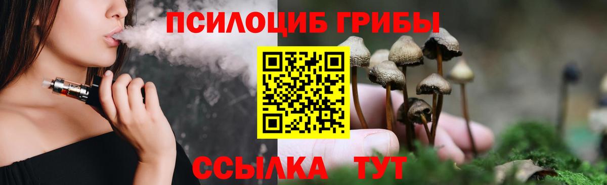 Галлюциногенные грибы ЛСД  Псилоцибиновые грибы ЛСД  купить наркоту  Отрадный  Вход с VPN 