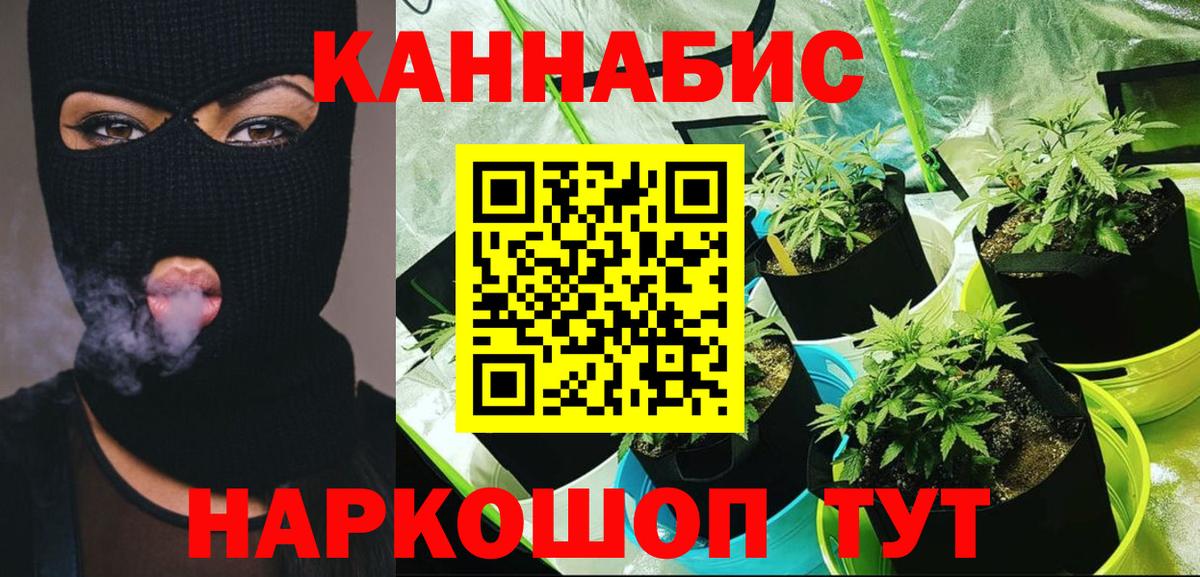 Конопля конопля  Канабис Ganja  Бошки Шишки индика  Вход с VPN  Отрадный  Шишки марихуана MAZAR 